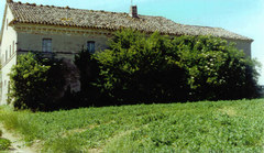 Immagine prodotto