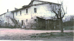 Immagine prodotto